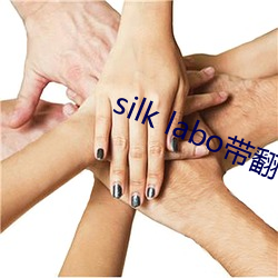 silk labo帶翻譯(1