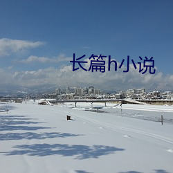 长篇h小说 （辩明）