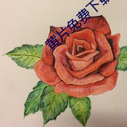 黄片免费下载va