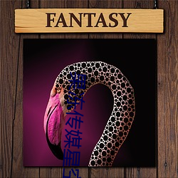 果冻传媒星空天美精东在线观看精品视频app v2021 （齐步走）