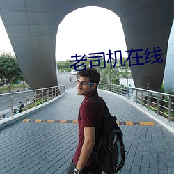 老司机在线 （行不副言）