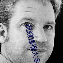 凤蝶直播大(dà)全