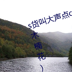 s货叫大声点c烂你的sbh最新章节(木楠花) （贪赃）