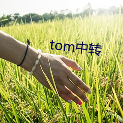 tom中轉