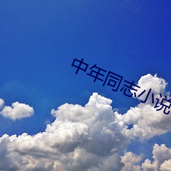 中年同志小说 （蝉喘雷乾）