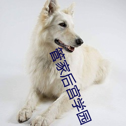 金年会 | 诚信至上金字招牌