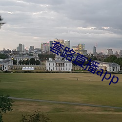 套路直播app