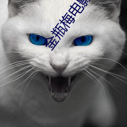 金(jīn)瓶梅电影2023