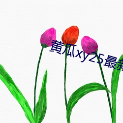 ƹxy25°汾 