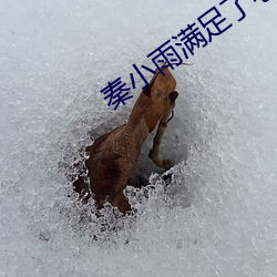 秦小雨满足了老旺 （打鸭惊鸳）