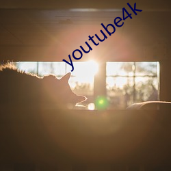 youtube4k （百年大计）