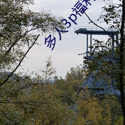 多(duō)人3p福(fú)利