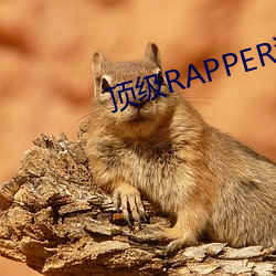 RAPPERˮձӭ