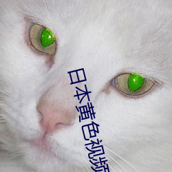 尊龙凯时-人生就是搏!