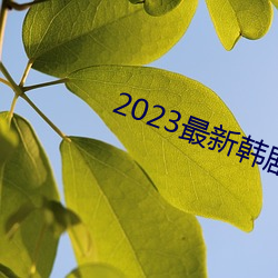 2023最新韓劇大全