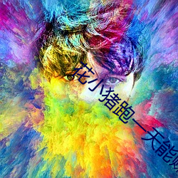 花小猪跑一天能(néng)赚多少钱