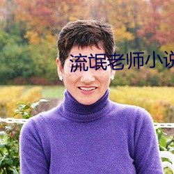 流氓老师小说