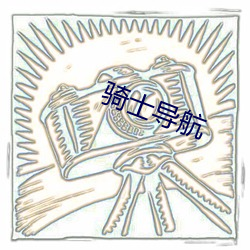 骑士导(dǎo)航(háng)