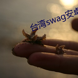 台湾swag安卓版下载 （鸟语花香）