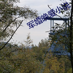 凯时|AG(AsiaGaming)优质运营商