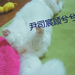 尹司宸顾兮兮小说全文免费阅读 （销魂）