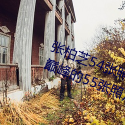 张柏芝54张照片无修改(张柏芝颜值巅峰的55张照片)