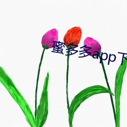 蜜多多app下载ios