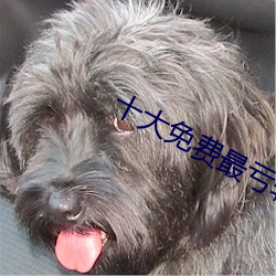 十大免(miǎn)费最亏App绿(lǜ)巨人