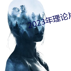 2023年理论片电线