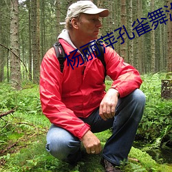 杨丽萍(萍)孔雀舞(舞)没有穿衣(衣)服