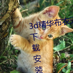 3d精华布衣天下123456天中图库下载(zài)安装