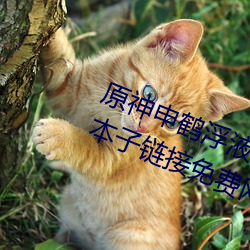 原神申鹤浮液狂(kuáng)飙开襟视频(pín)3D福(fú)利本子链(liàn)接免费(fèi)网站
