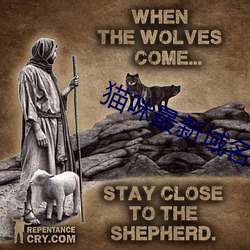 猫咪最新域名(míng)官网