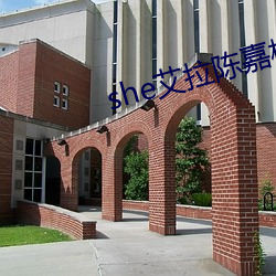 she艾拉陈嘉桦 （三合土）