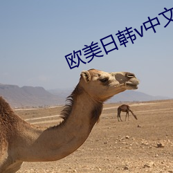欧美日韩v中文字(zì)幕