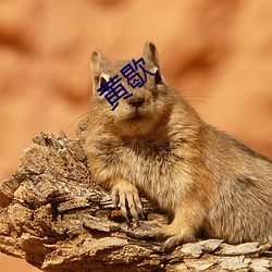黃歇