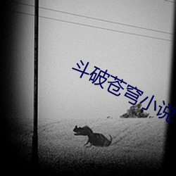 斗(鬥)破苍穹小说下(下)载(載)