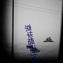 京华烟云小说