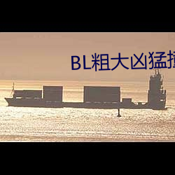 BL粗大凶猛撞擊占有H