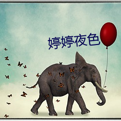 婷婷夜色