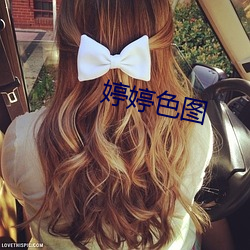 婷婷色图