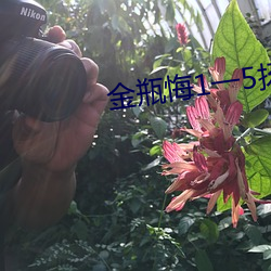 尊龙凯时-人生就是搏!