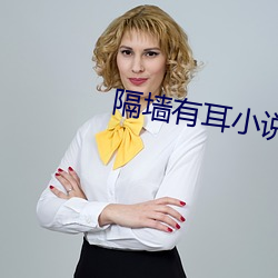 隔墙有耳小说