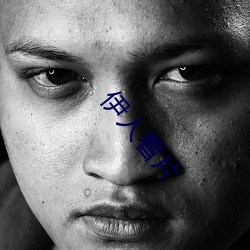伊人看片