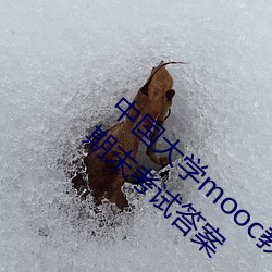 中国大学mooc教师职业道德与教育政策法规期末考试答案 （陟罚臧否）
