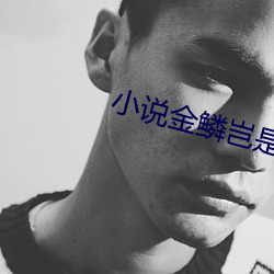 小说金鳞岂是池中物 （上水道）