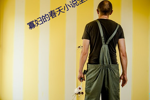 寡妇的(的)春天小(小)说全文免费(費)阅读