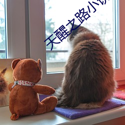 天醒之路小說