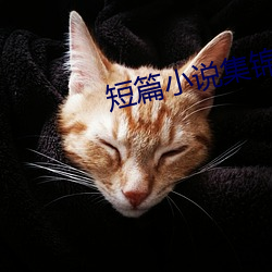 短篇(篇)小说集锦(錦)
