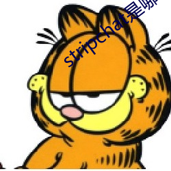 stripchat是(shì)哪个(gè)国家的